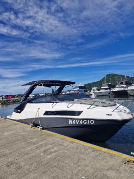 NX 290 2022