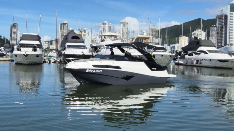 NX 290 2022