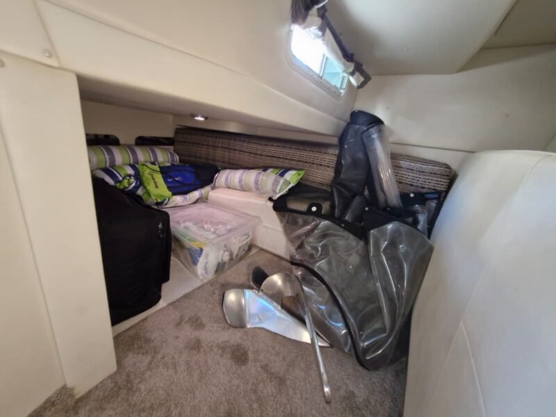 Bayliner 310 2014