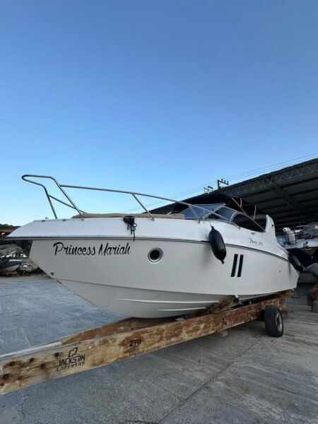 Thorus 275 2013