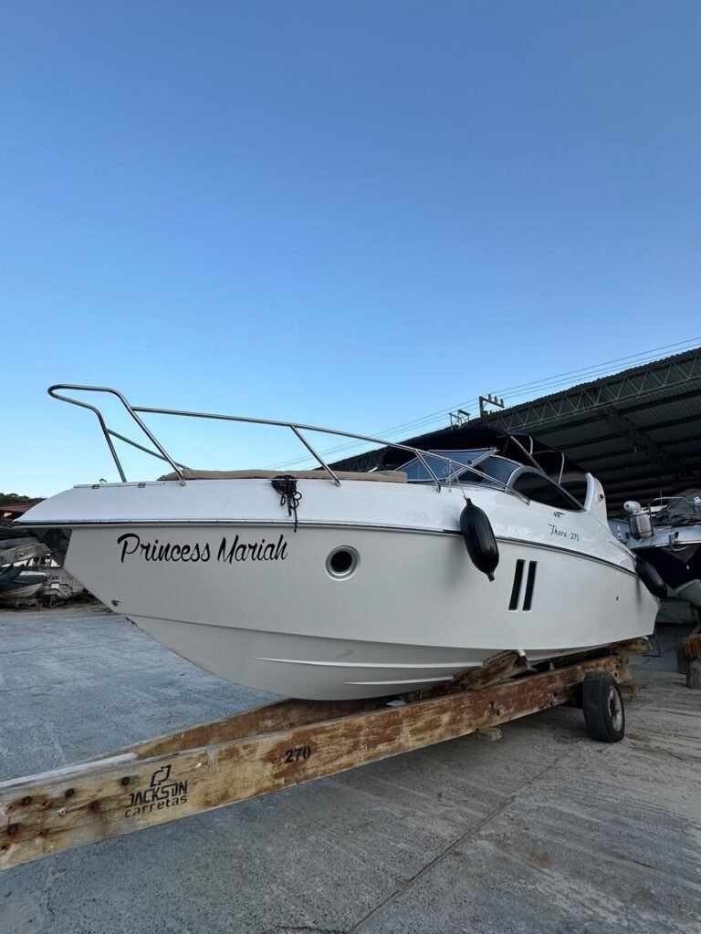 Thorus 275 2013