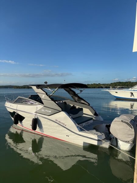 Ross 245 2025