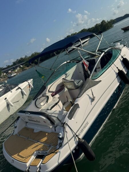 Focker 230 2015