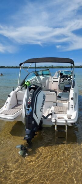 Focker 240 2017