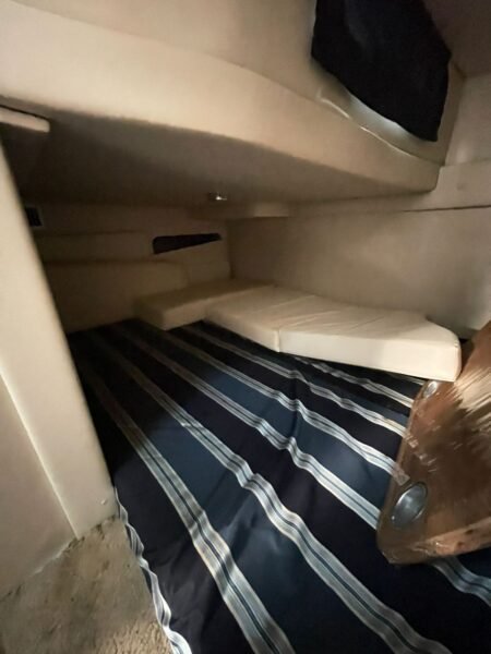 Bayliner 310 BR 2013