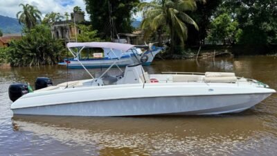 Fast 295 2012