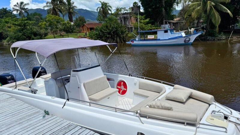 Fast 295 2012