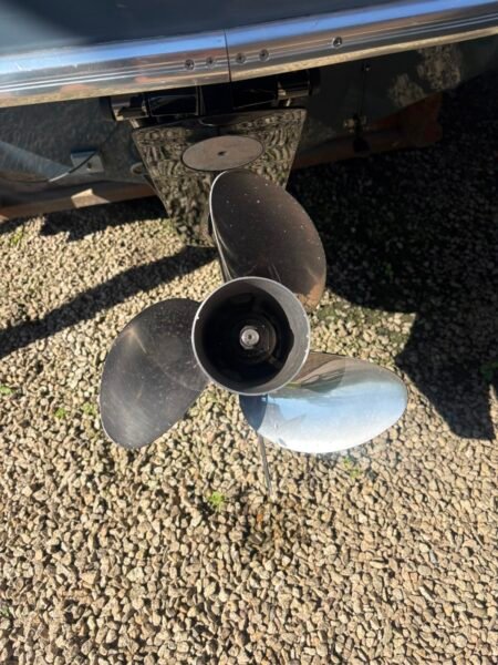 FS 230 2022