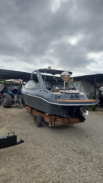 FS 230 2022