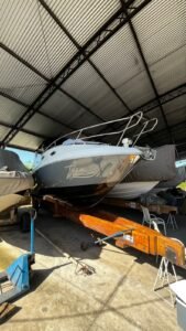 Focker 305 2023