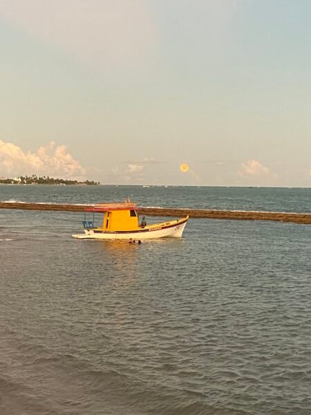 Triton 240 Open 2014