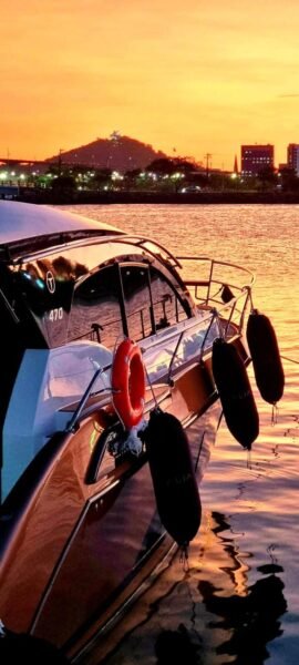 Triton 470 HT 2021