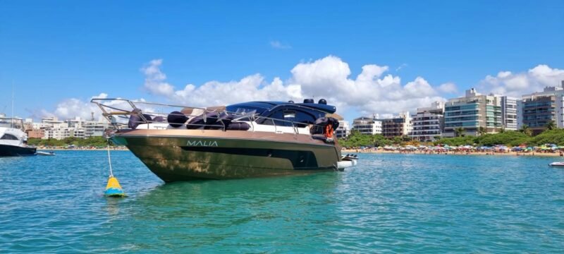 Triton 470 HT 2021