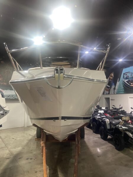 Ventura V300 2025