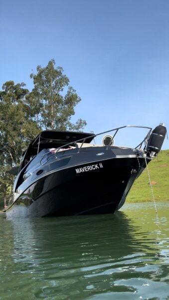 NX 290 2021
