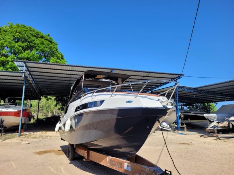 NX 290 2021