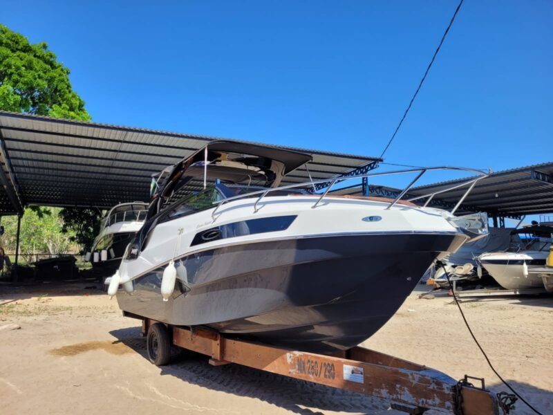 NX 290 2021