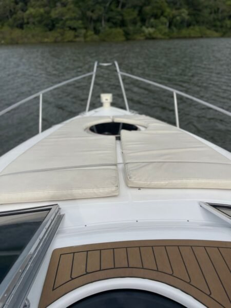 Schaefer (Phantom) 303 2016