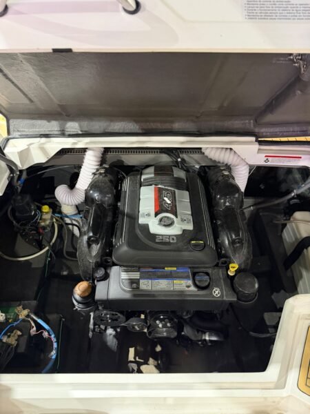 Focker 242 GTO 2020